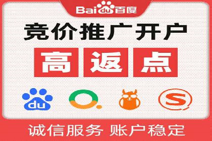 行业标杆的SEM竞价营销案例研究